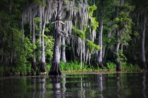 louisiana